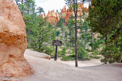 Weggabelung Navajo und Queens Garden Trail