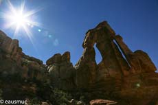 Needles District