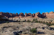 Needles District