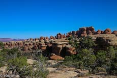 Needles District