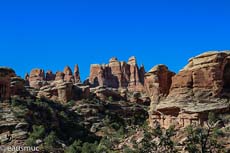 Needles District