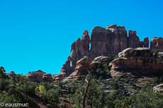 Needles District