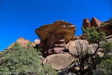 Needles District