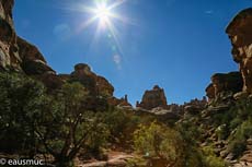 Needles District