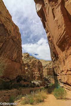 Capitol Gorge