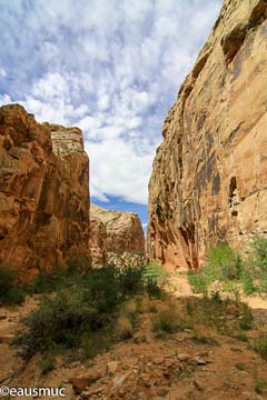 Capitol Gorge