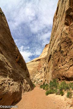 Capitol Gorge