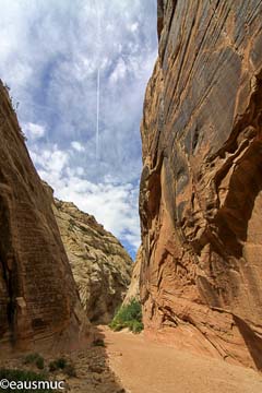 Capitol Gorge