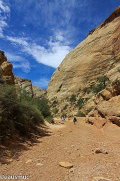 Capitol Gorge