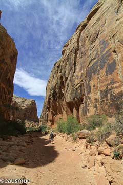 Capitol Gorge