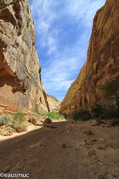 Capitol Gorge