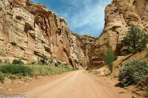 Piste Capitol Gorge