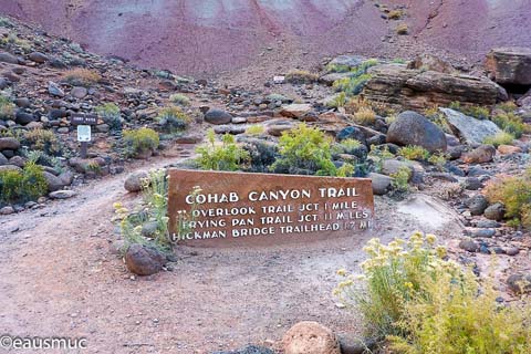 Trailhead Sign