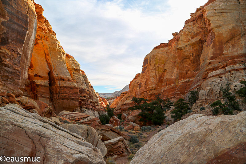 Eingang zum Cohab Canyon