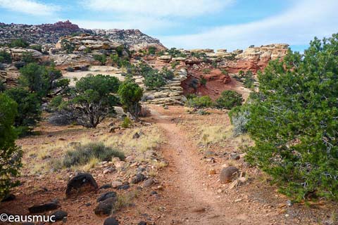 Trail zum Fruita Overlook