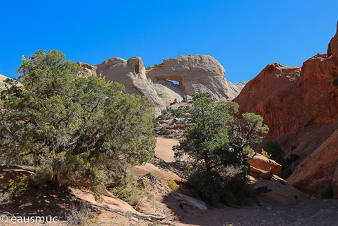 Peek A Boo Arch