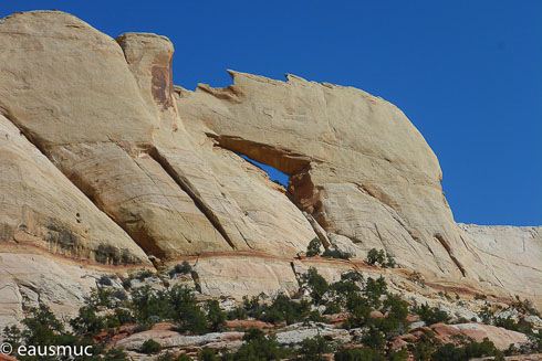 Peek A Boo Arch