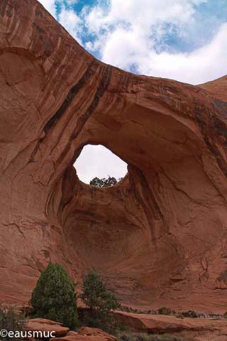 Bow Tie Arch