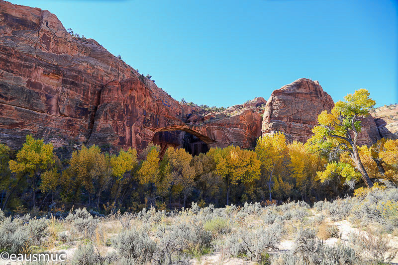 Escalante Natural Bridge