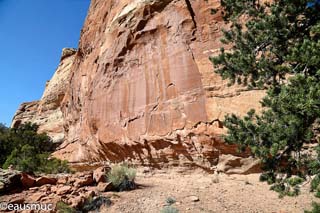 Desert Bighorn Panel