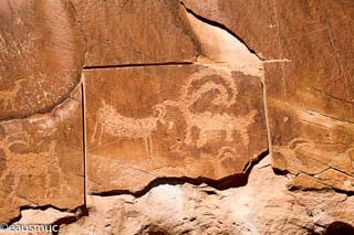 Desert Bighorn Panel