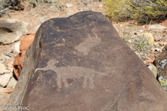 Petroglyphs