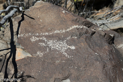 Petroglyphs