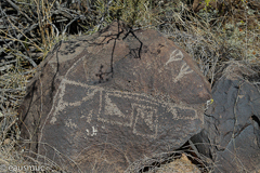 Petroglyphs