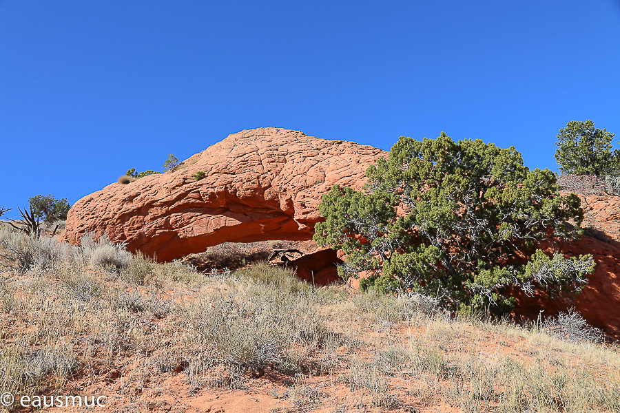 Moby Dick Arch