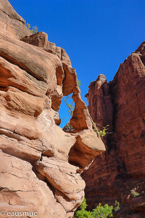 Kleiner Arch am Wegesrand