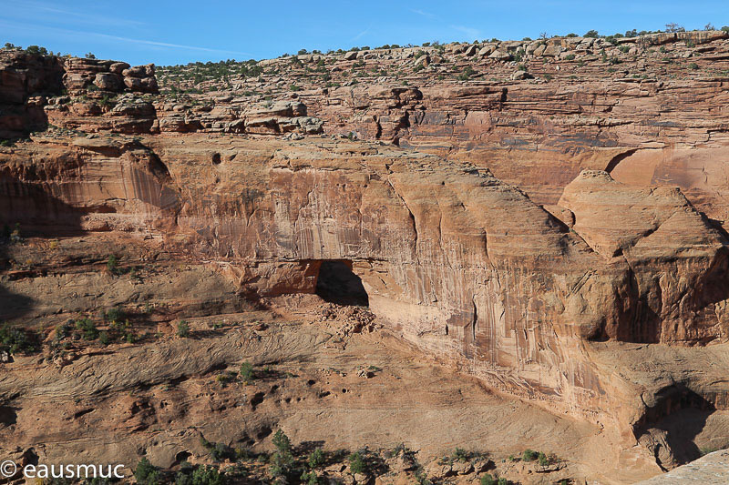 Jewell Tibbets Arch