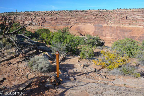 Signs am Trail