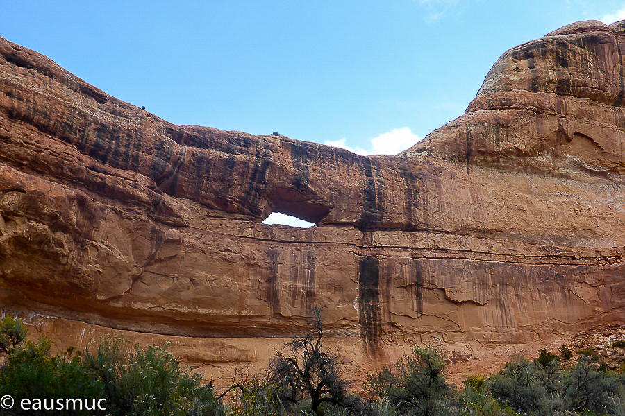 Stimper Arch