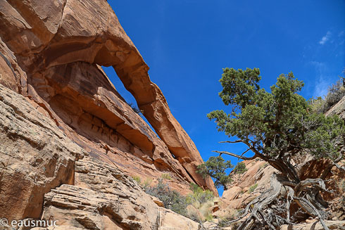Moab Rim Arch