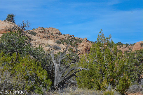 Landschaft, im Hintergrund der Arch