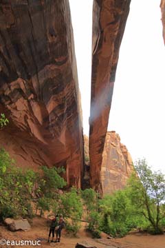 Morning Glory Bridge