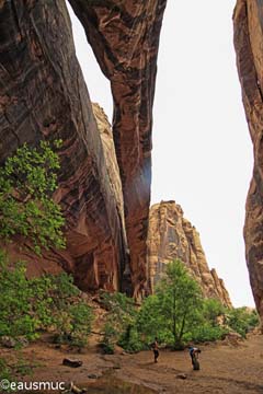 Morning Glory Bridge