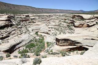 Horsecollar Ruin