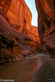 Paria River Canyon