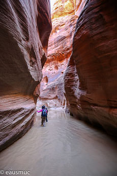 Paria River Canyon