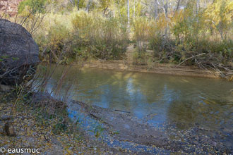 Furt durch den Escalante River