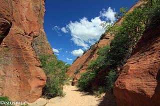 Red Hollow Canyon