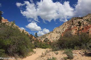 Red Hollow Canyon