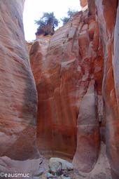 Red Hollow Canyon