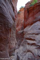 Red Hollow Canyon