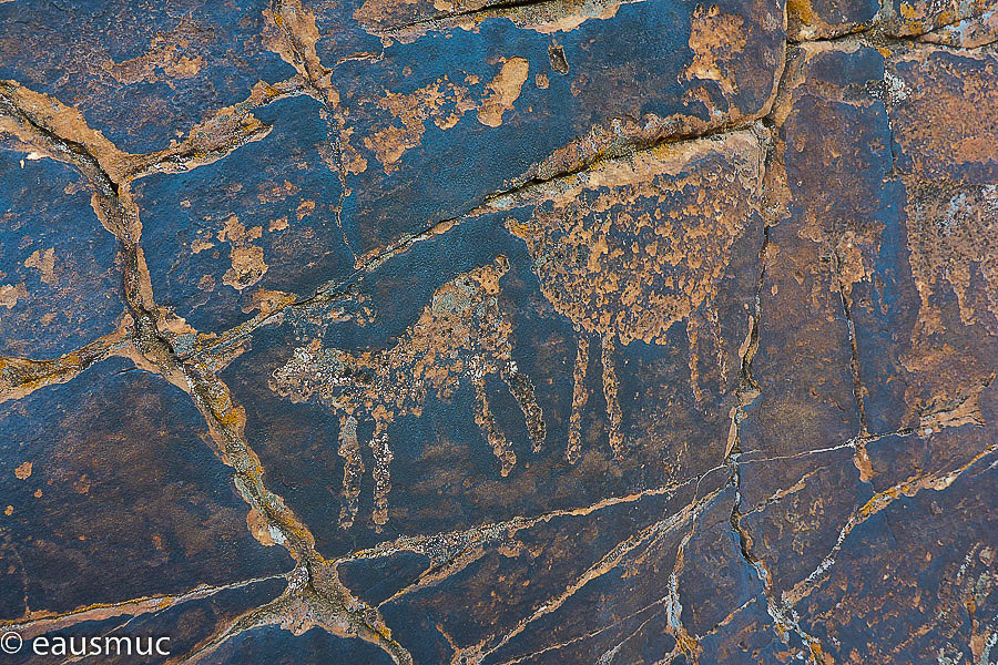 Petroglyphs