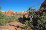 Hidden Pinyon Trail