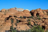 Hidden Pinyon Trail