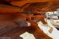 Hidden Pinyon Trail