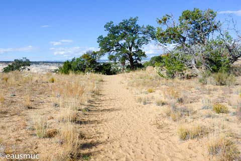 Trail zum Trailhead